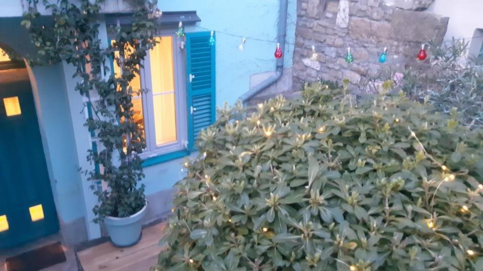 ピランLittle Gardenアパートメント エクステリア 写真